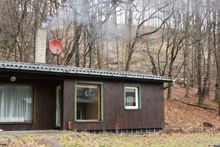 Vacation bungalow in the middle of the forest
