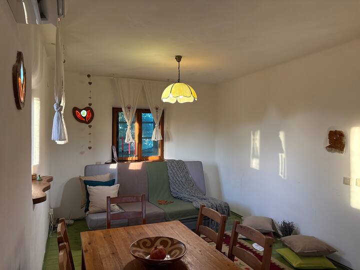 Casa Din Pamant In Mijlocul Naturii - Comuna Cornu