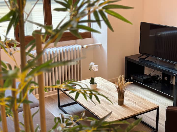 Le Nid Cosy - Chambéry Centre - Gare & Parking - Chambéry