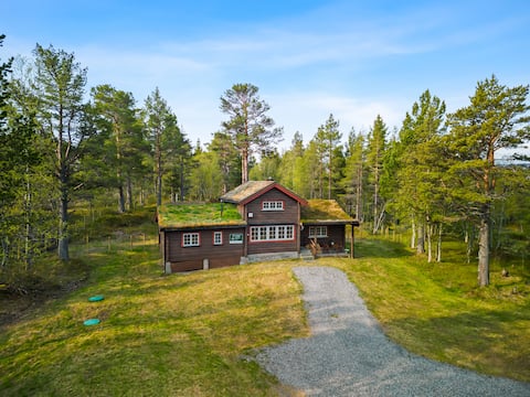 Great log cabin in scenic surroundings