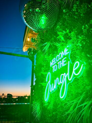 Celebrity Owned: Rooftop 5 Min to Downtown Nash gallery image 4