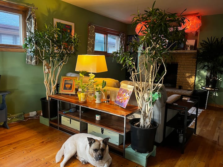 Dream Jungle Escape - Room - Wauwatosa, WI