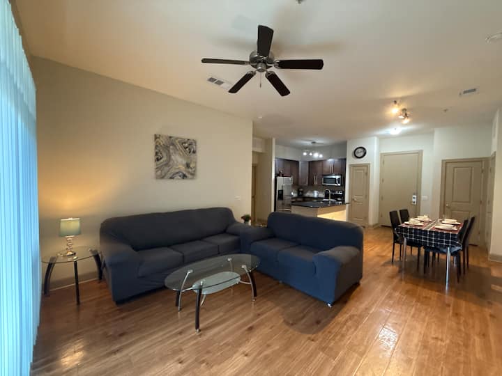 Upscale Apt Minutes From The Texas Medical Center - アメリカ ヒューストン