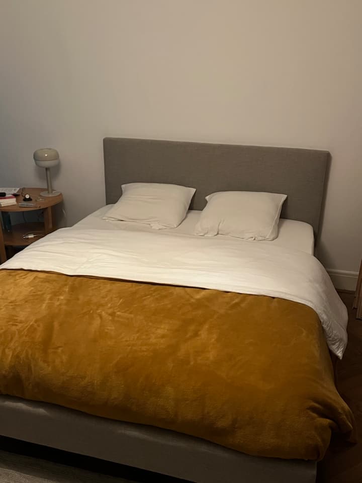 Appartement Plein Centre - Strasbourg
