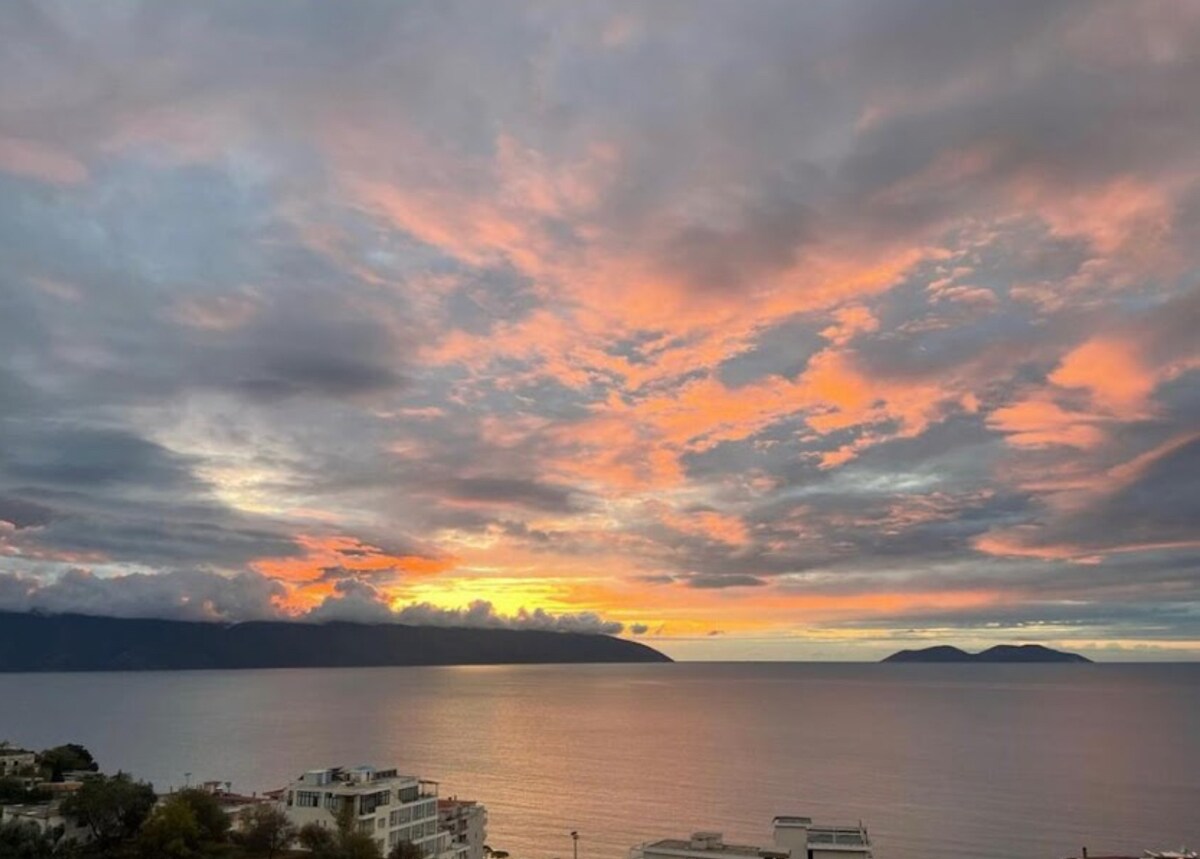 Listing 1502867664981177814