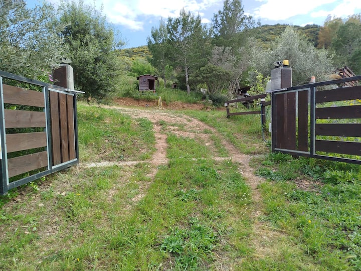 Living Paradise Glamping - Muravera