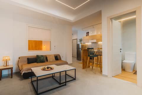 Successful Airbnb property: Calmio Athens 4 in ΠΡΟΦΗΤΗΣ ΔΑΝΙΗΛ