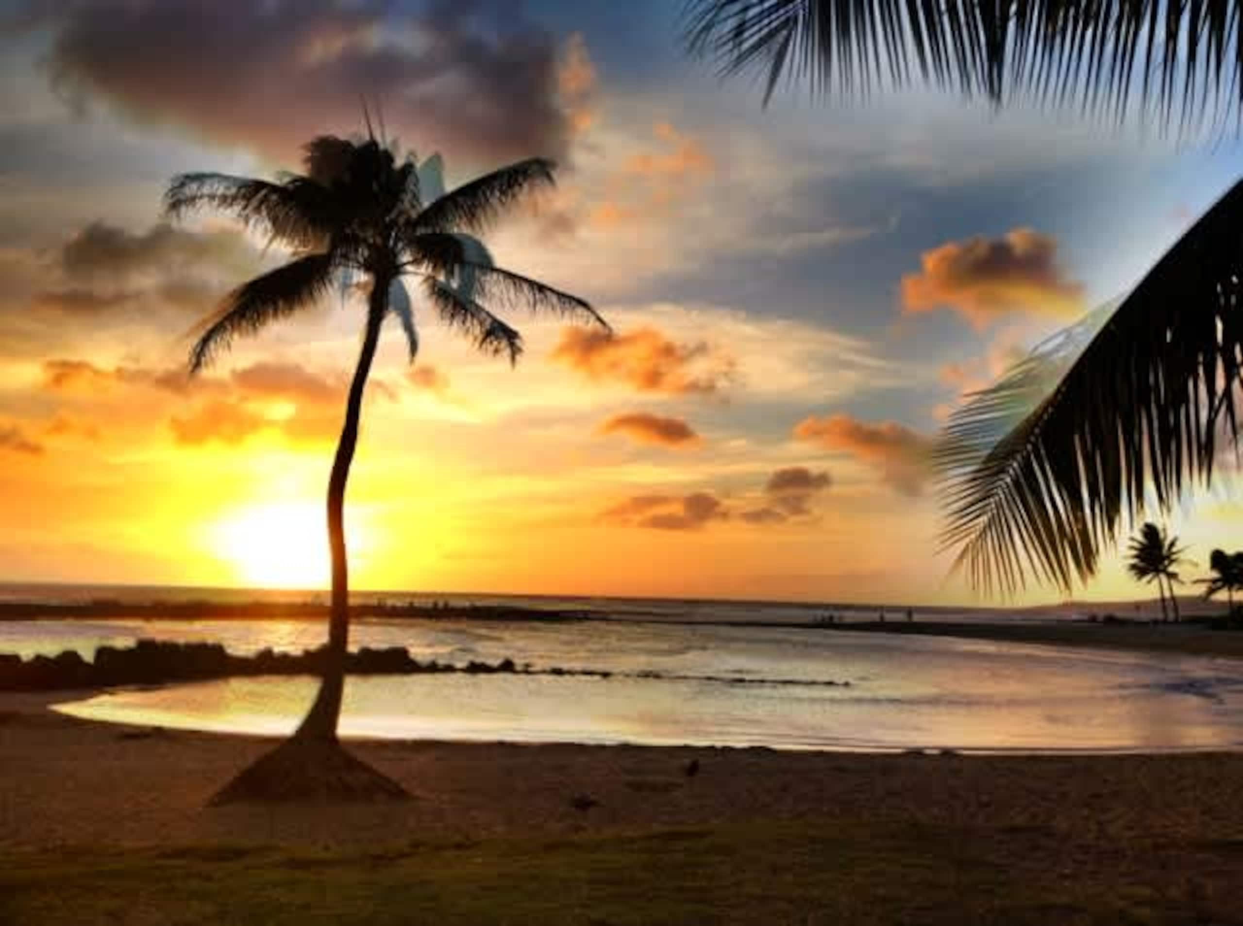 Condo in Koloa · ★4.75 · 2 bedrooms · 3 beds · 2 baths - Image 34