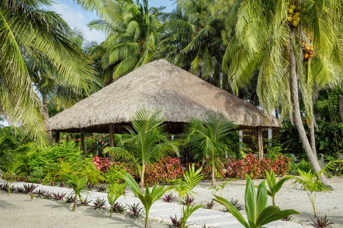 Weezie's Pink Cottage with a pool - Aparthotels for Rent in Caye