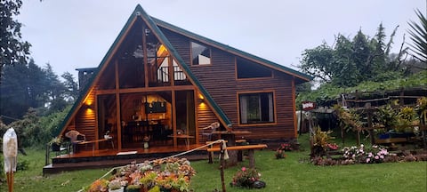 Magic Cabin in Dota | Farm+Breakfast+Lagoon&Garden