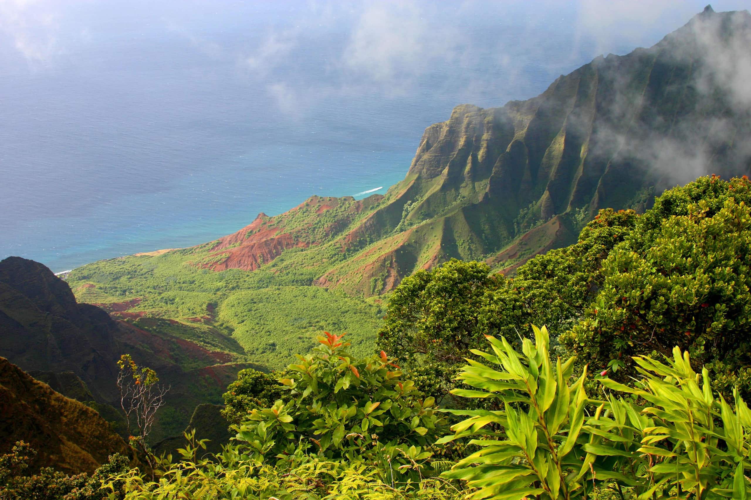 Welcome to your slice of paradise with AC! - Image 36