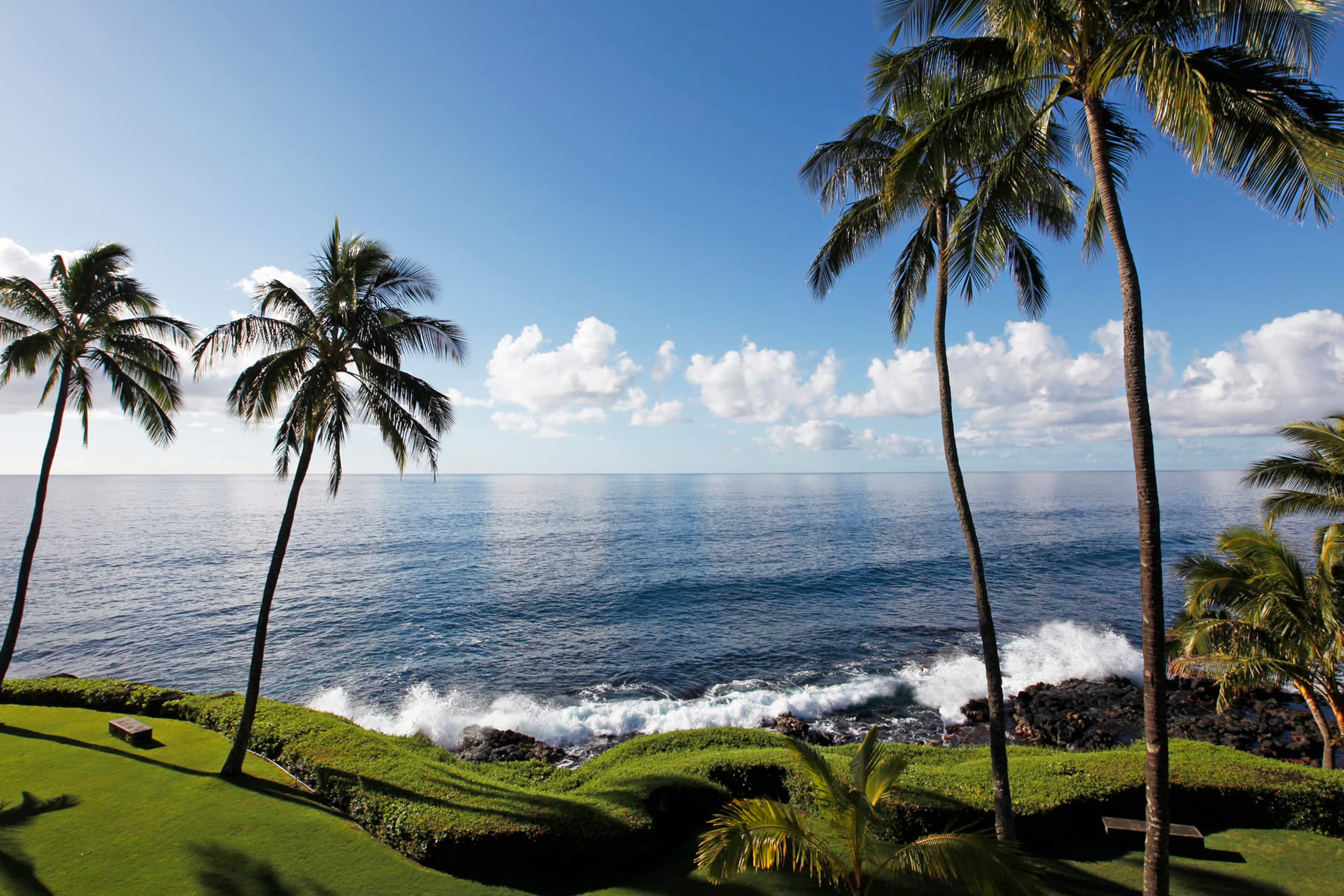 Welcome to your slice of paradise with AC! - Image 35