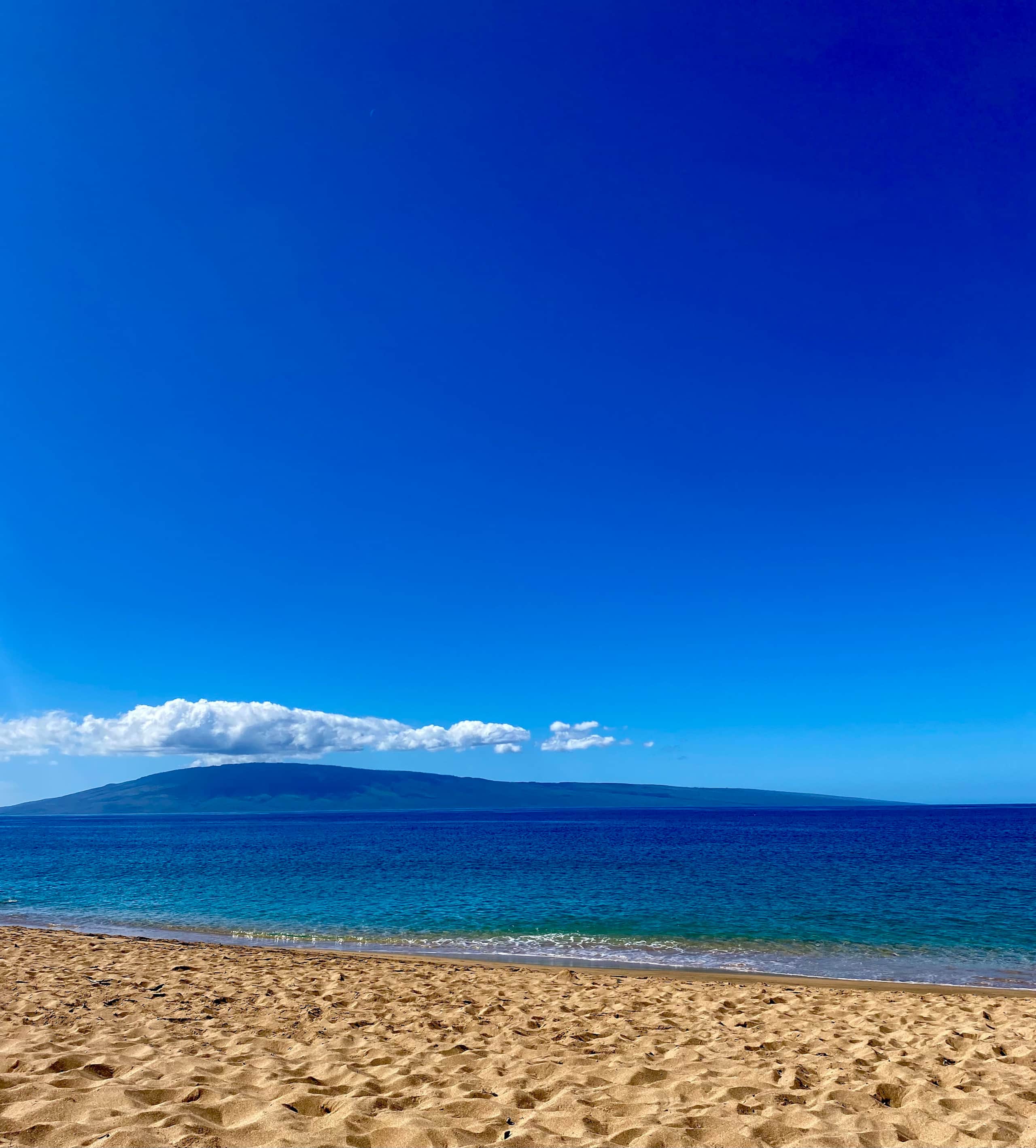 Condo in Lahaina · ★4.75 · 1 bedroom · 2 beds · 1 bath - Image 22