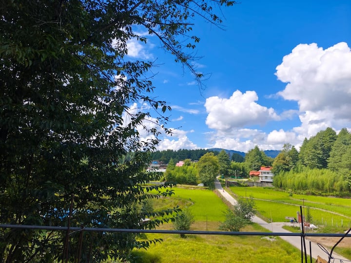 Campsite On A Terrace Within 1km Of Ziro Music Fes - Ziro