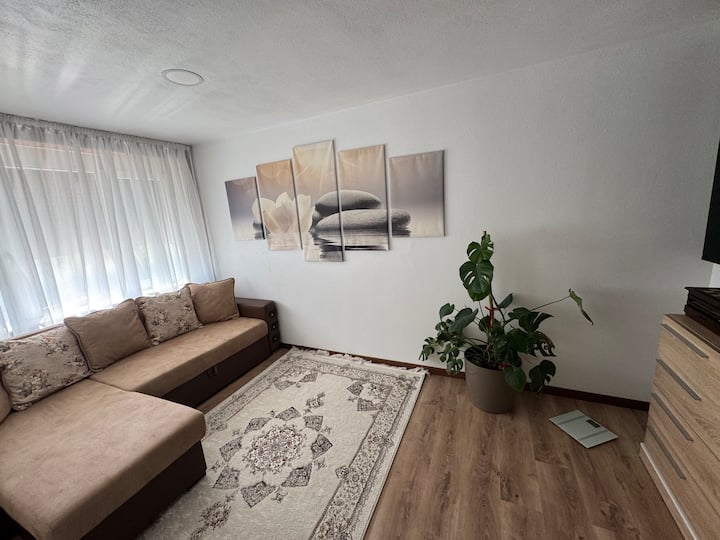 Central Main Street Apartament - Comuna Moisei