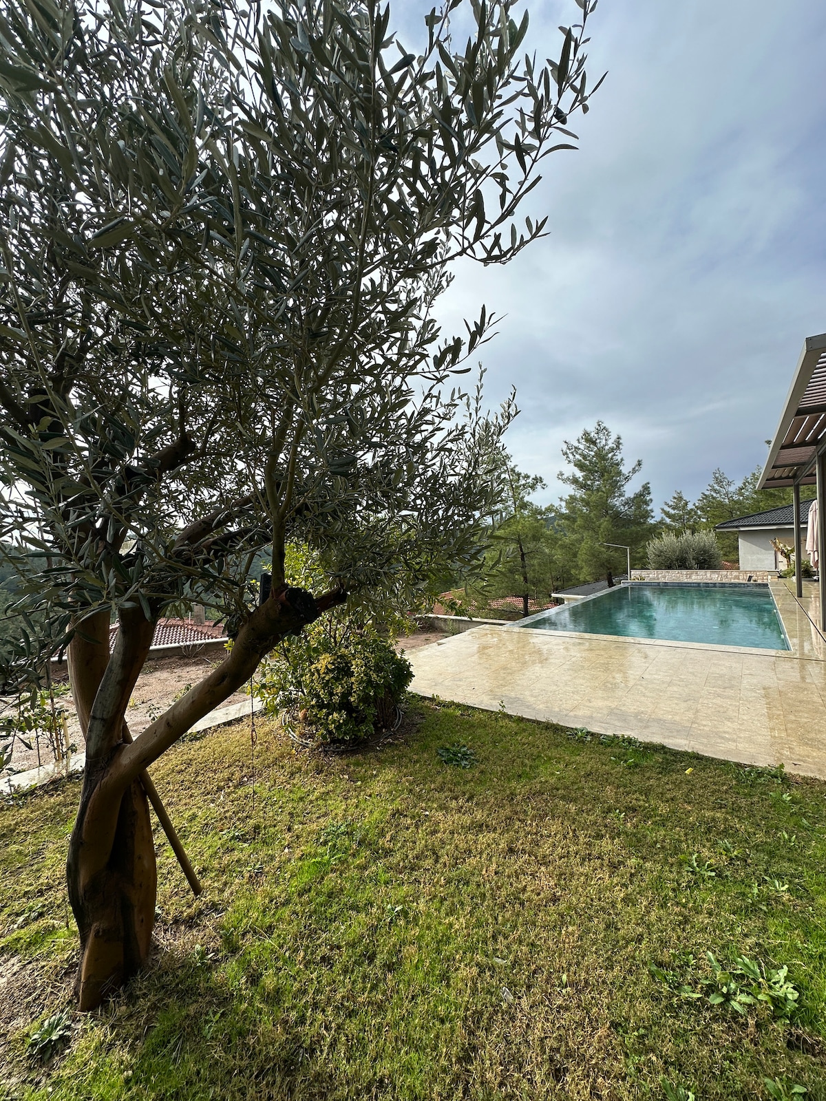 Doğayla İç İçe Zarif Villa | Sonsuzluk Havuzu