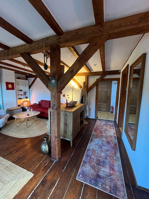 Beliebte Airbnb-Anzeige: Above the rooftops of Freiburg with a view of the cathedral in Freiburg Im Breisgau
