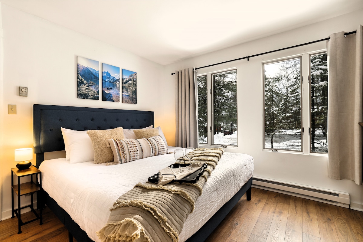 King bedroom on main floor is bright and airy with bureau, TV, closet 