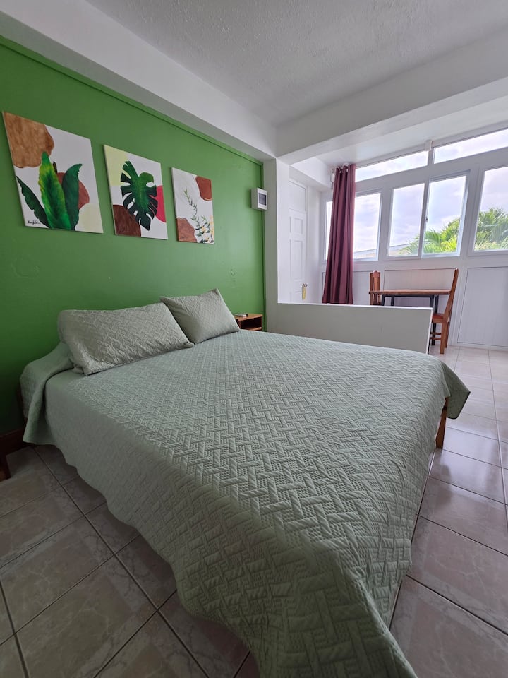Boutique Oceanfront Hotel Room With Pool - Roseau