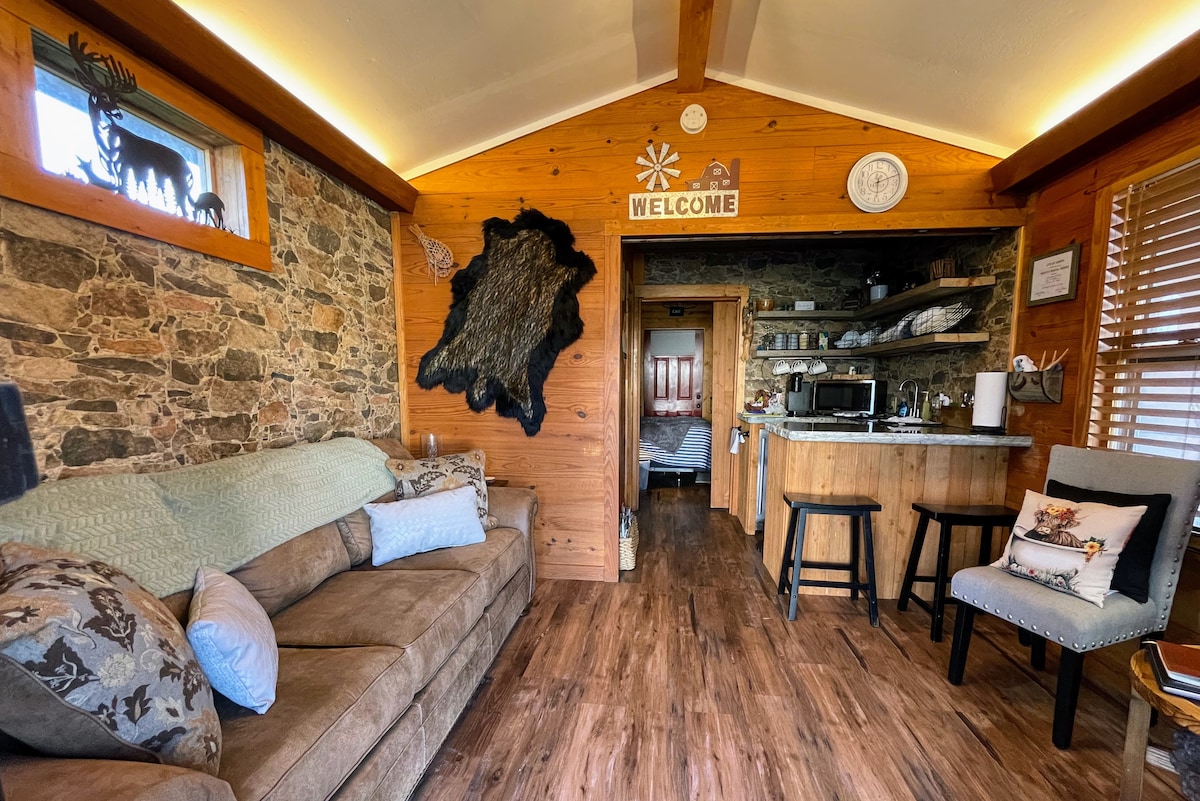 Dnevni boravak gledan iz ulaznih vrata