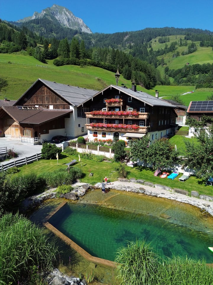 Amosergut Appartement Edelweiss - Dorfgastein
