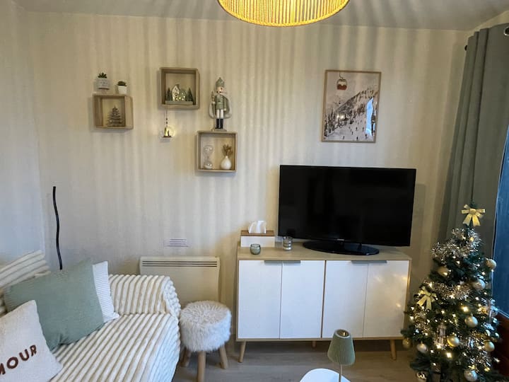 Appartement Avec Balcon 4/6 Personnes .2 Chambres - Puy de Sancy