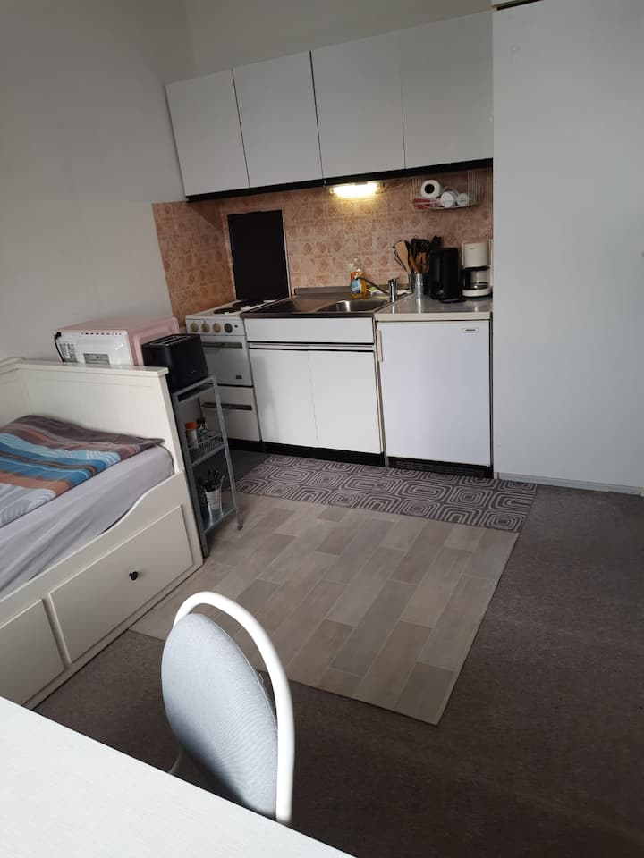 Gemütliches Klein-apartment Nähe Jku - Linz