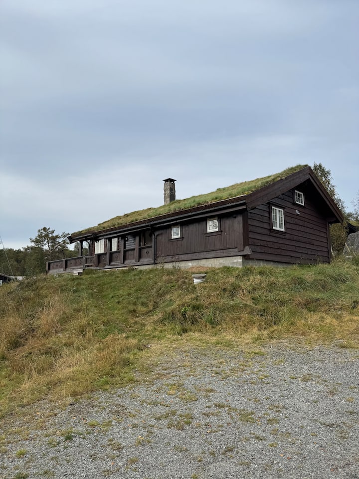 Familievennlig Hytte Sentralt I Sirdal - Sinnes