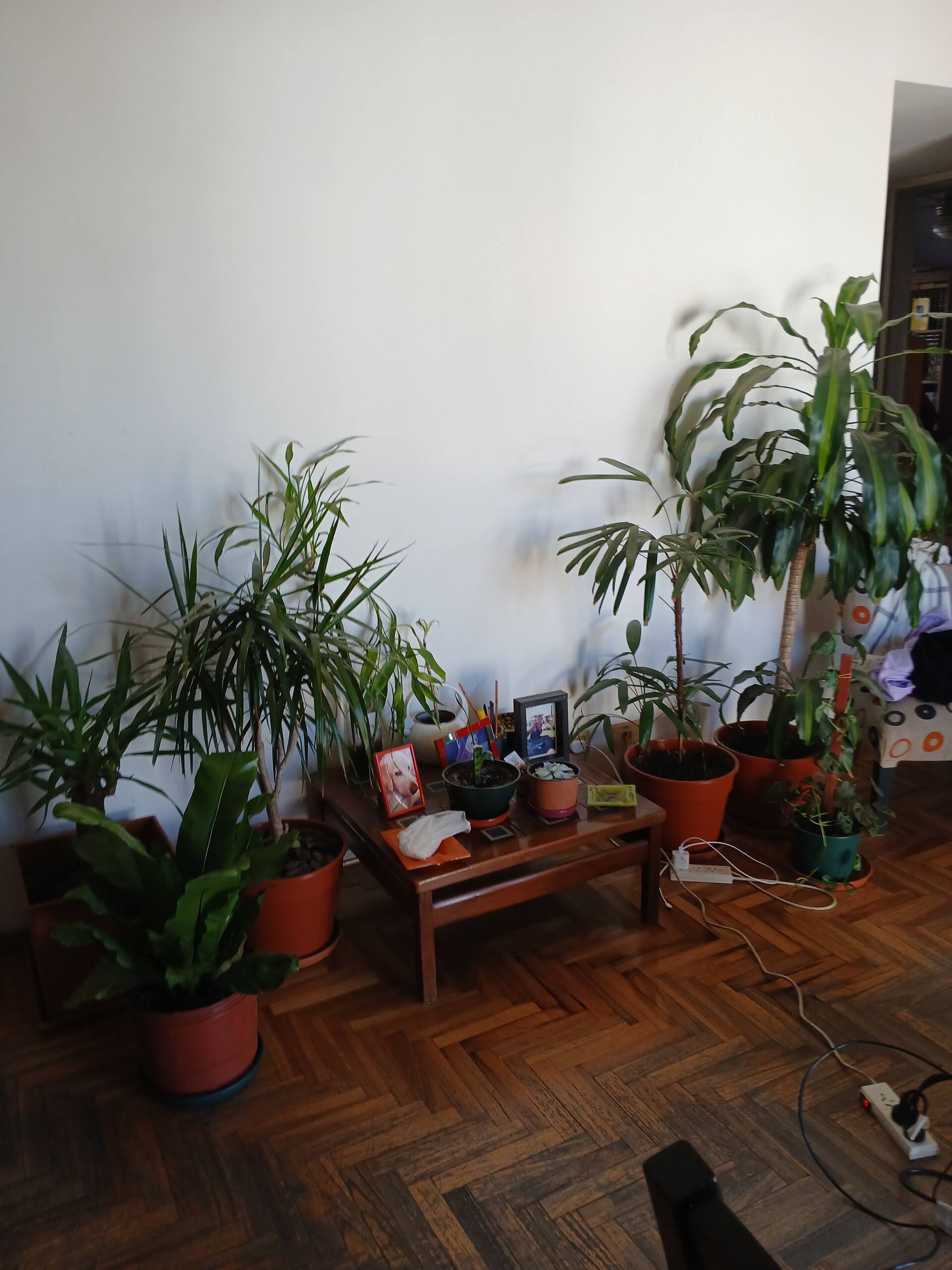 Quarto em apartamento em Boedo