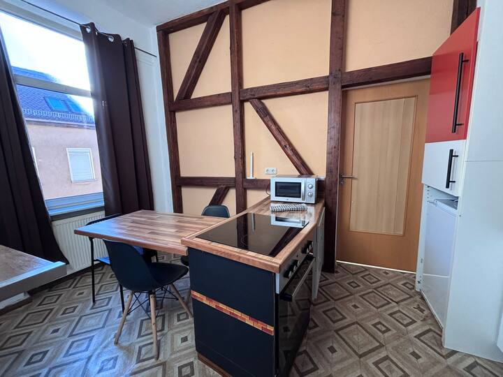 Ariprop Family Apartment With Shared Garden - Zeitz