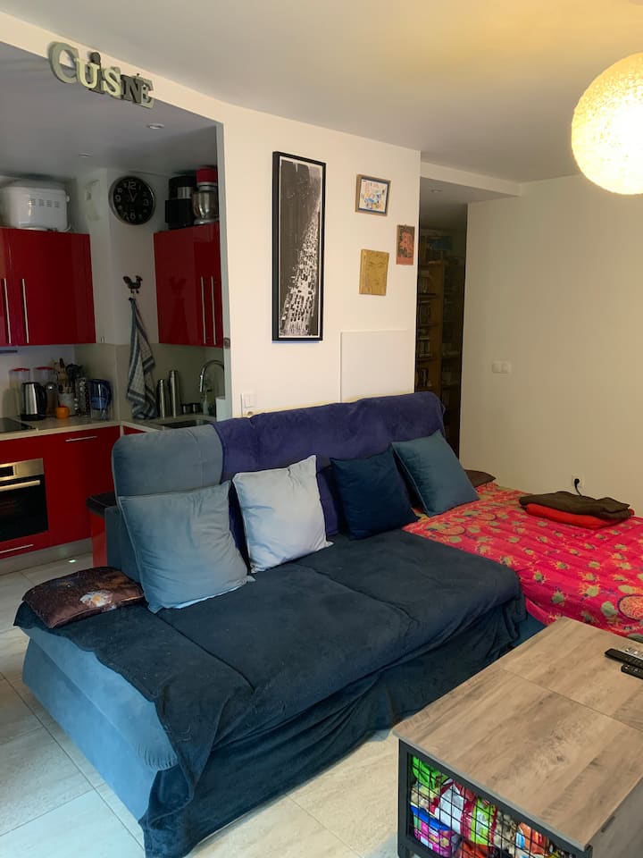 Chambre Dans Lappartement Avec Jardin - Pontoise