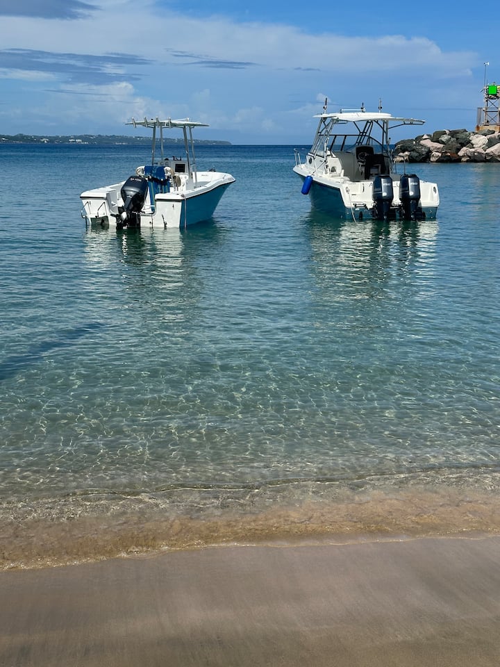 Rompeolas Beach And Pelicans - Aguadilla