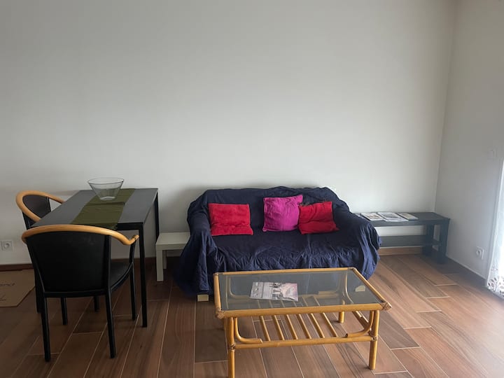 2 Pièces Meublé, 42 M2 + Balcon Au Coeur De Thonon - Lake Geneva