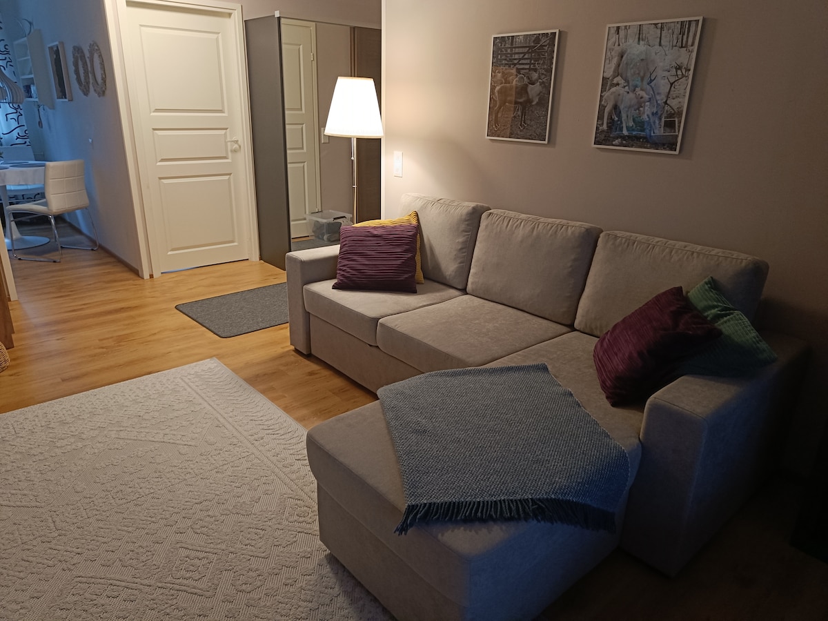 ห้องนั่งเล่นกว้างขวางพร้อมเตียงโซฟา เก้าอี้นวมสองตัว ทีวี