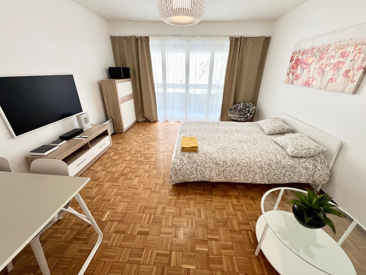 Top Airbnb: H20 Geneva center Uni-Mail Plainpalais Arve Bridge in Plainpalais