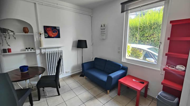 Appartement Y, Près D’universités, Palais Congrès. - Saint-Étienne
