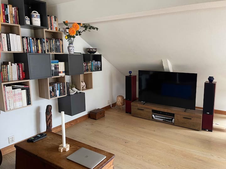 Ტელევიზორი დაკავშირებულია ჩვენს ქსელთან და შეიცავს არხების უმეტესობას. Წიგნების თაროდან წიგნების თაროდან უფასოდ სარგებლობა. 