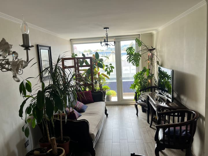 Departamento Clásico, Centrico Y Muy Acogedor - Temuco