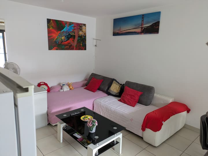 Beautiful Flat Around Geneva & Its Airport/palexpo - Saint-Julien-en-Genevois