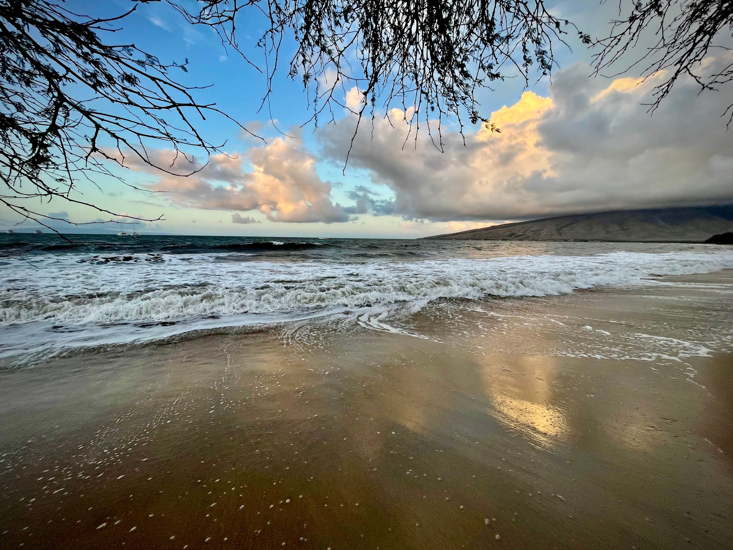 Condo in Kihei · ★5.0 · 1 bedroom · 2 beds · 1 bath - Image 31