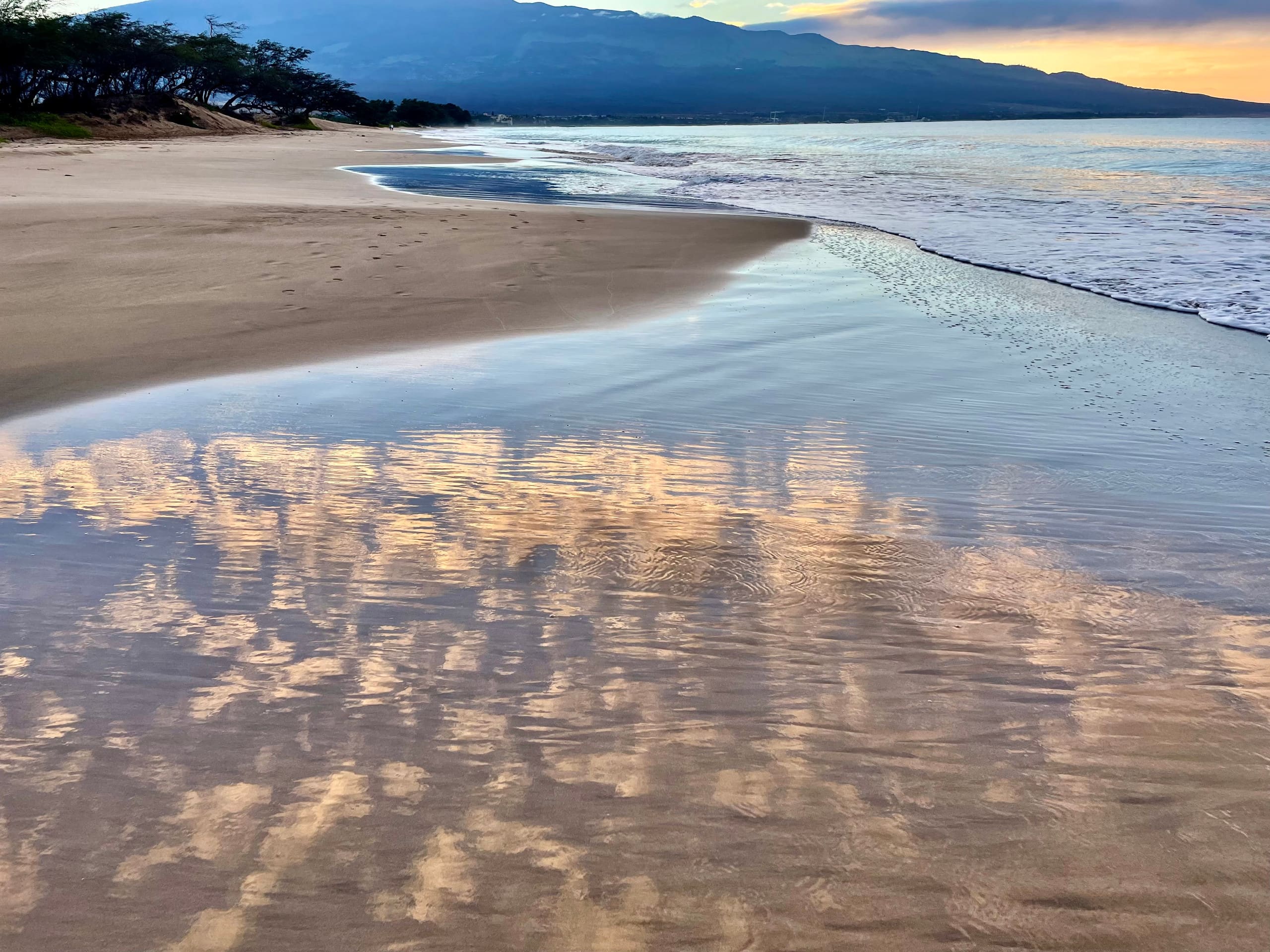 Condo in Kihei · ★5.0 · 1 bedroom · 2 beds · 1 bath - Image 35
