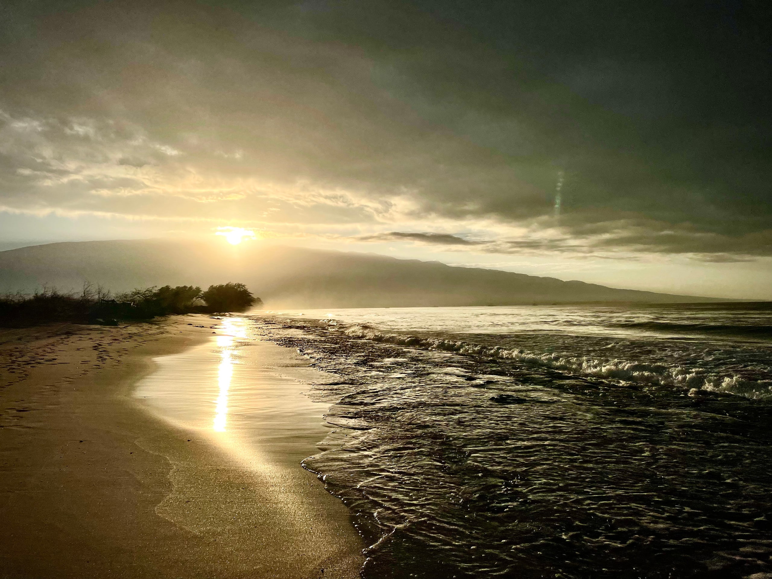 Condo in Kihei · ★5.0 · 1 bedroom · 2 beds · 1 bath - Image 32