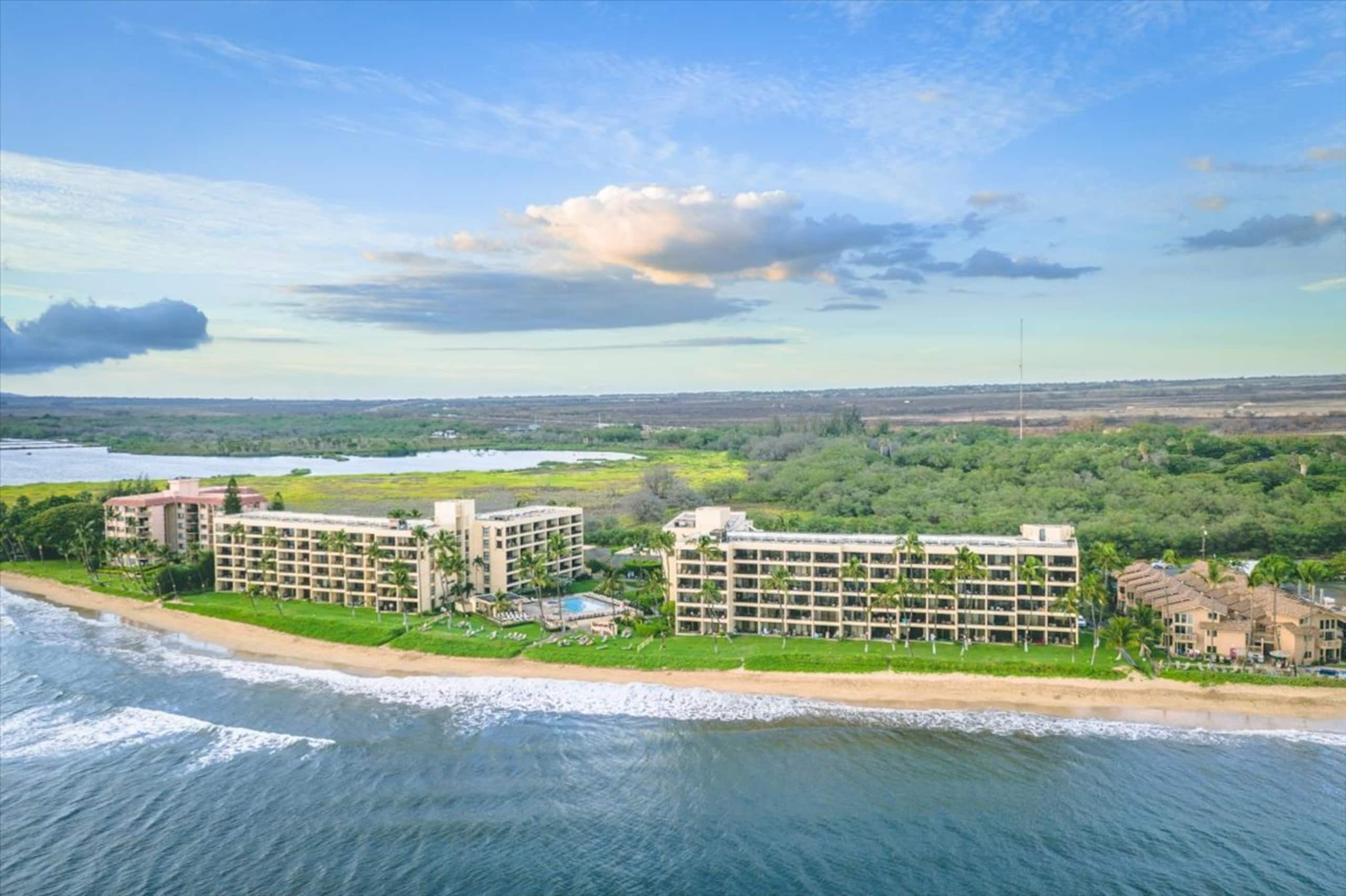 Condo in Kihei · ★5.0 · 1 bedroom · 2 beds · 1 bath - Image 18