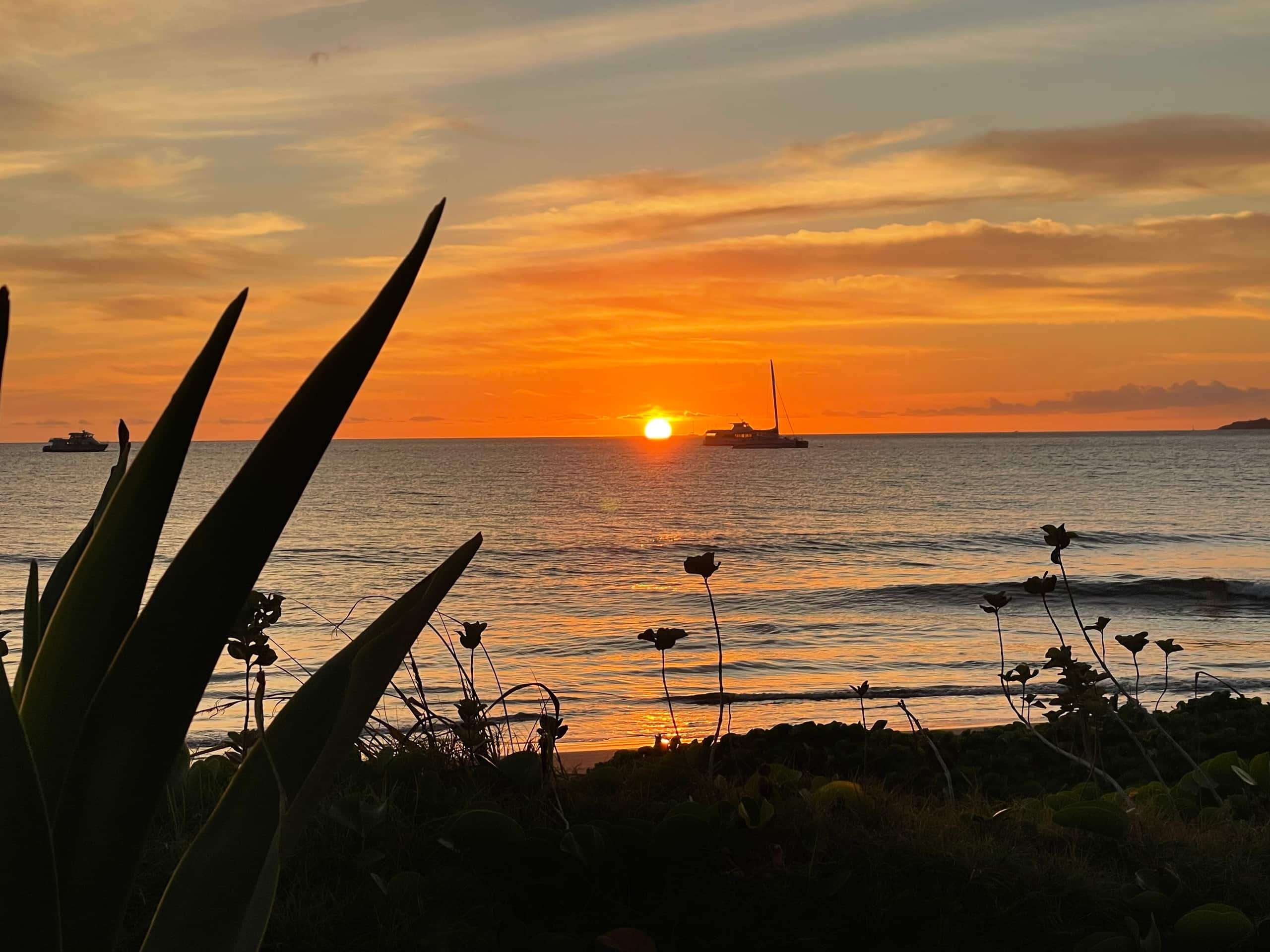 Condo in Kihei · ★5.0 · 1 bedroom · 2 beds · 1 bath - Image 33