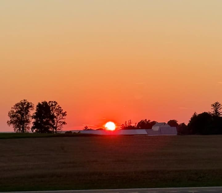 Sunsets And Vines - Cayuga Lake