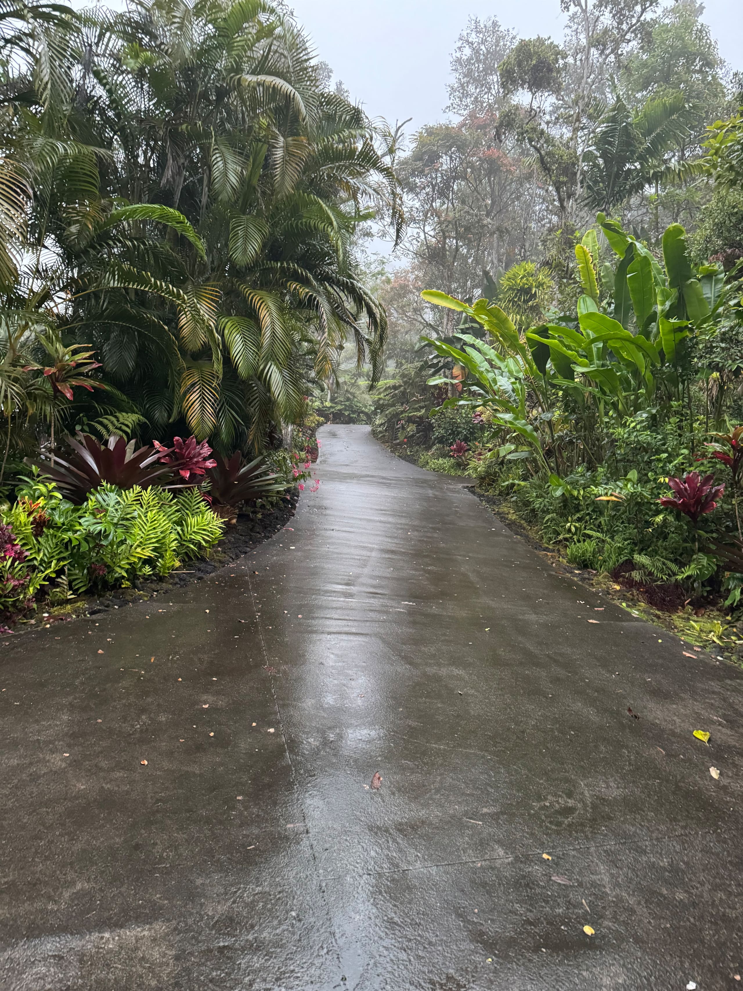 Romantic Private Forest Guest House TA065882726401 - Image 106