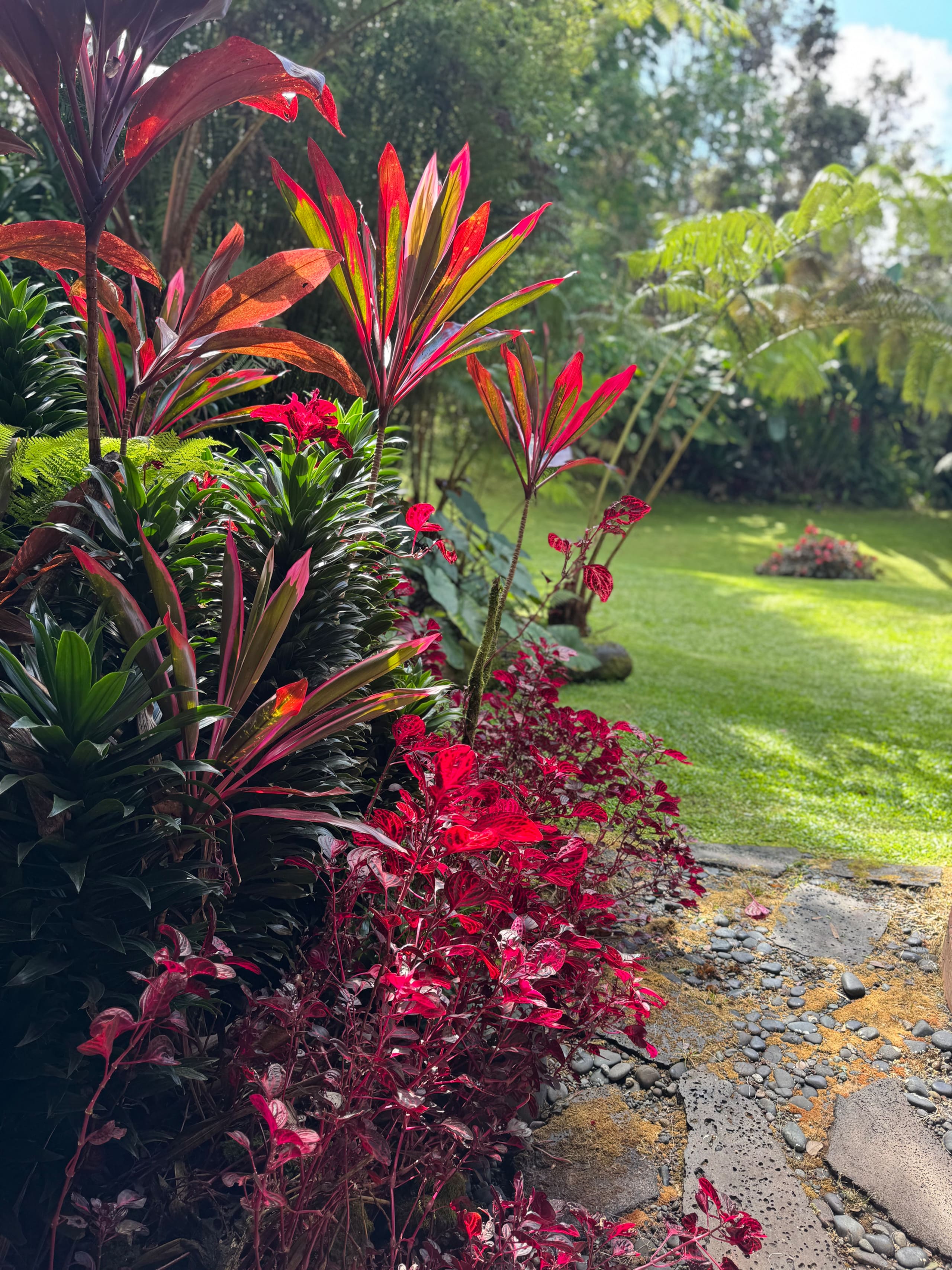 Romantic Private Forest Guest House TA065882726401 - Image 33