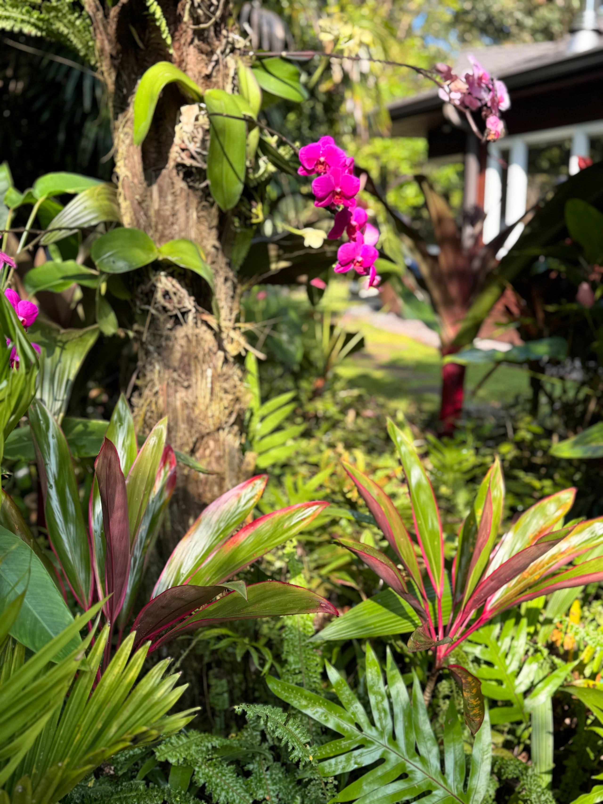 Romantic Private Forest Guest House TA065882726401 - Image 100