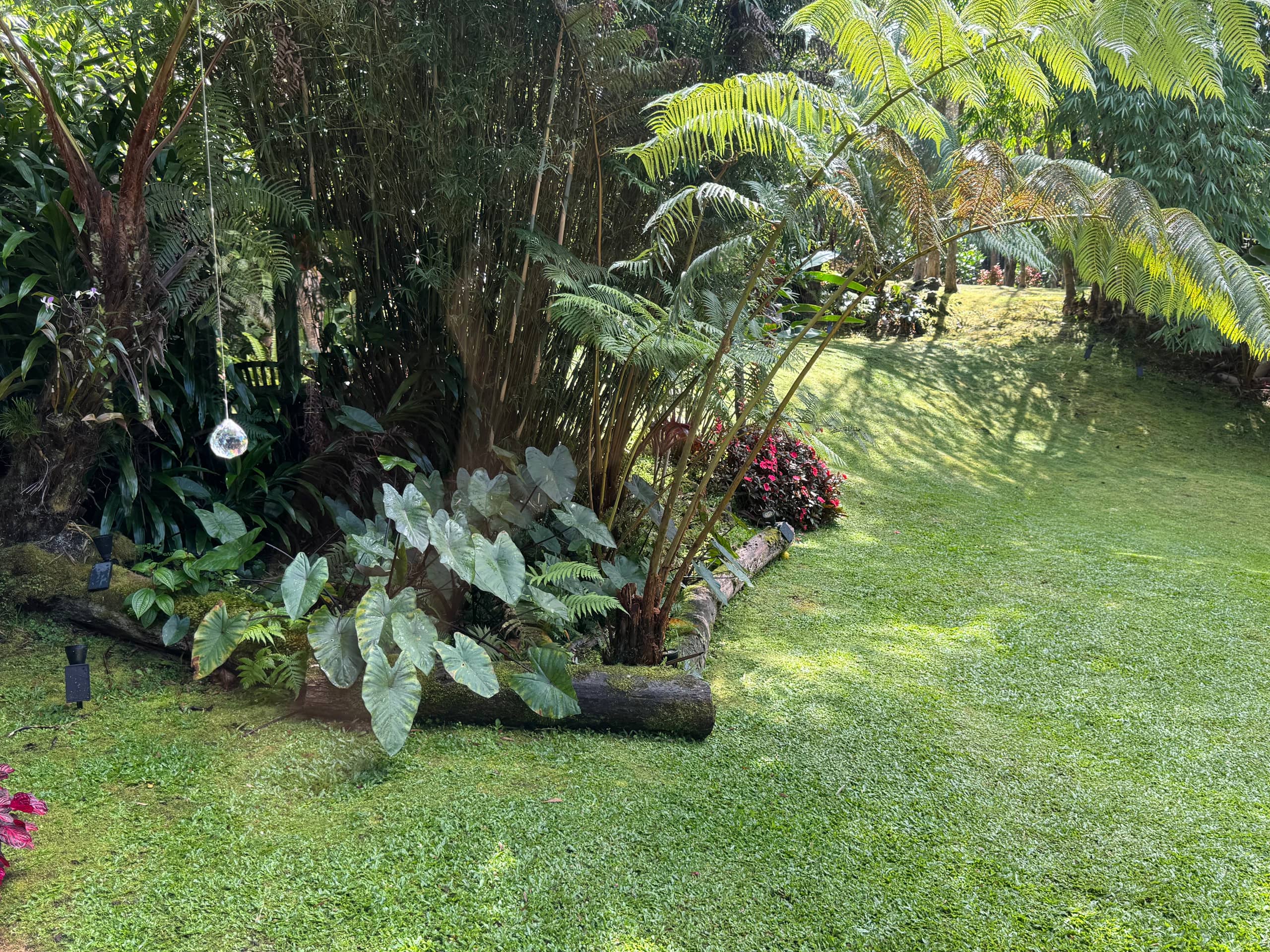 Romantic Private Forest Guest House TA065882726401 - Image 63