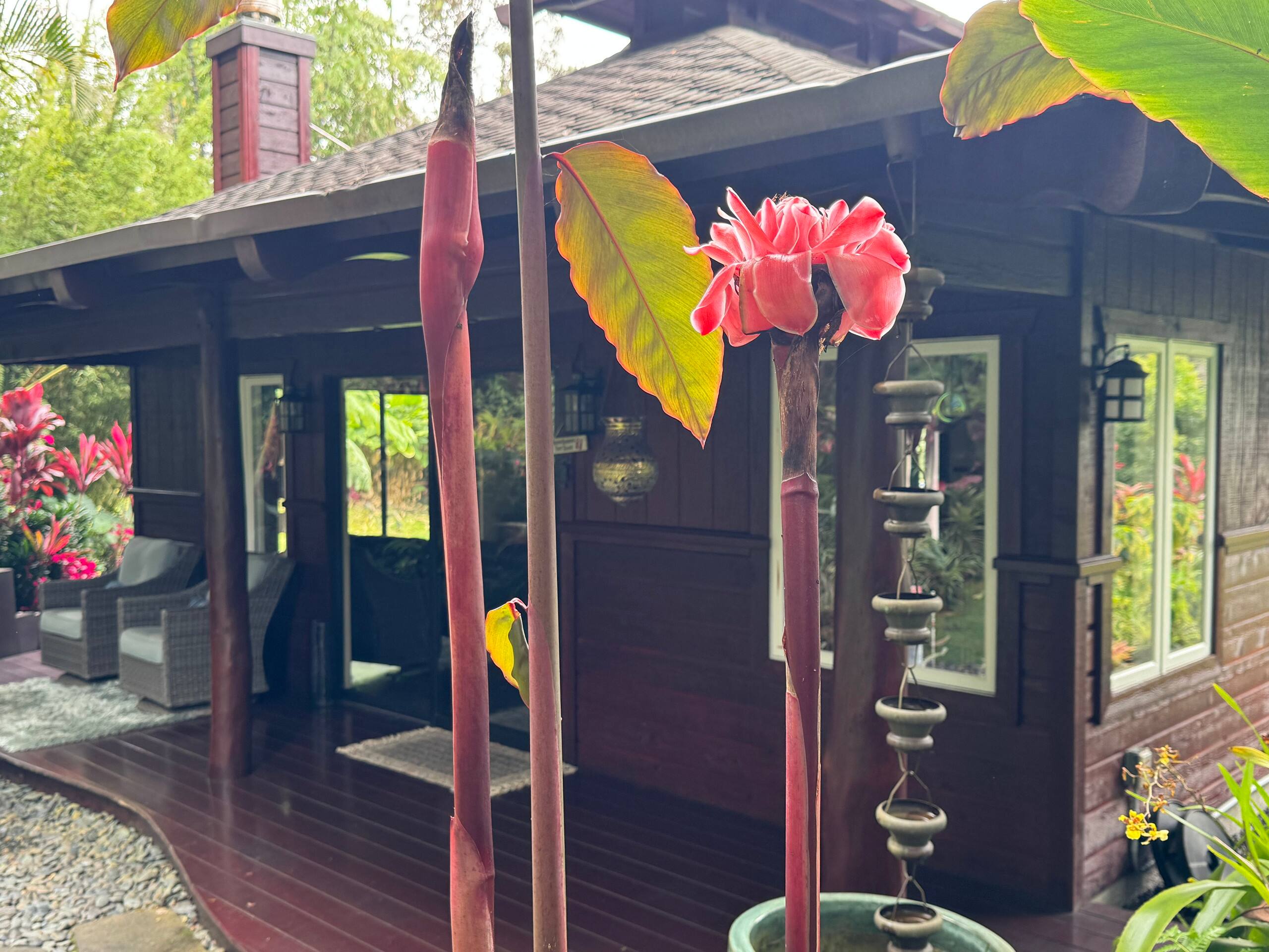 Romantic Private Forest Guest House TA065882726401 - Image 96